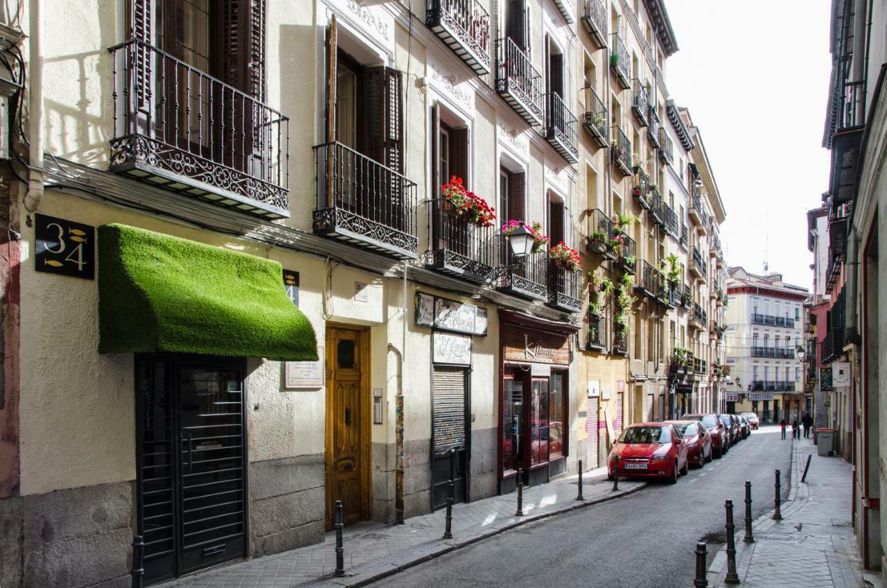 Renovated And Modern- 3bd 2bth- Anton Martin Apartament